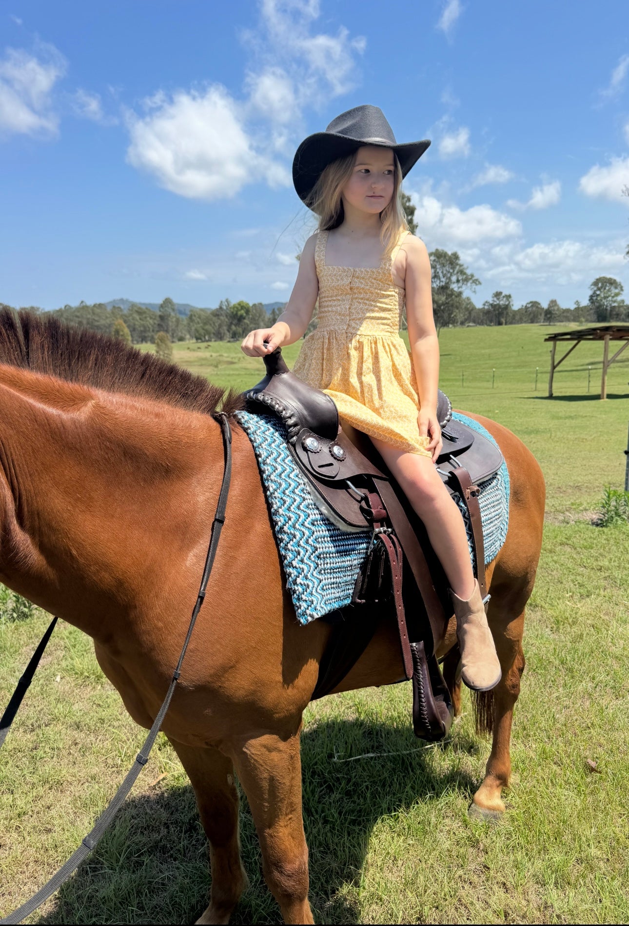Evelyn Button dress- mustard